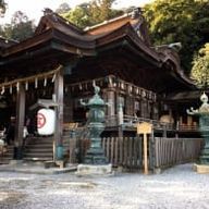 はちのさぶあかさんのアイコン画像