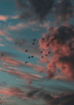 男バレを護衛するあの子