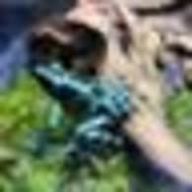 MENOAさんのアイコン画像