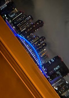 💎の中の🦔は愛されてます