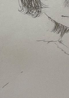 耳の生えない犬と耳の生える猫