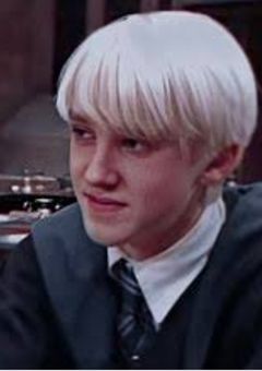 私はドラコの双子の妹