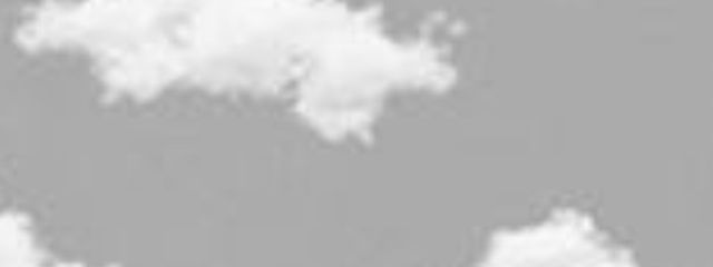 こと🐍さんの壁紙画像