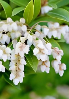 呪鬼〜仲良しの友達と呪いの偶像〜