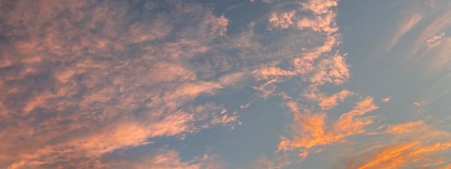 わらび餅さんの壁紙画像