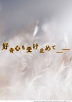 好奇心も受け止めて＿＿🔞