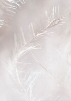 劣情も愛情も＿＿🔞