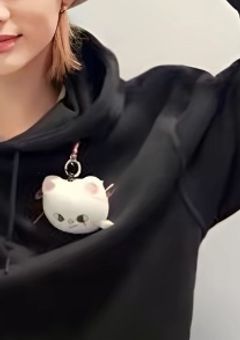 彼女とH中をメンバーに見られたら、、