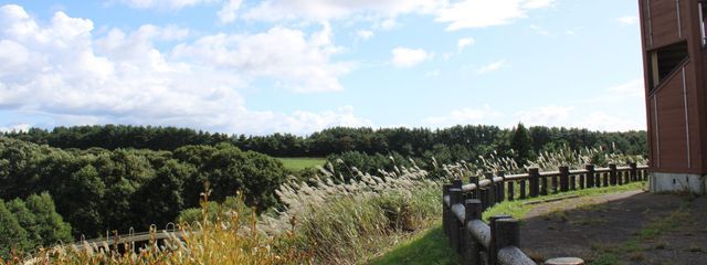 Natsuhaさんの壁紙画像