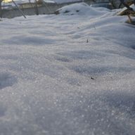 へまへま@同担拒否⟡.·*.さんのアイコン画像