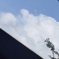 わわわさんのアイコン画像