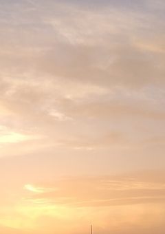 めちゃつ🅰️の紅一点、兄が嫌いらしい