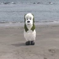 haruぽよさんのアイコン画像