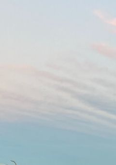 関係者さま~♡