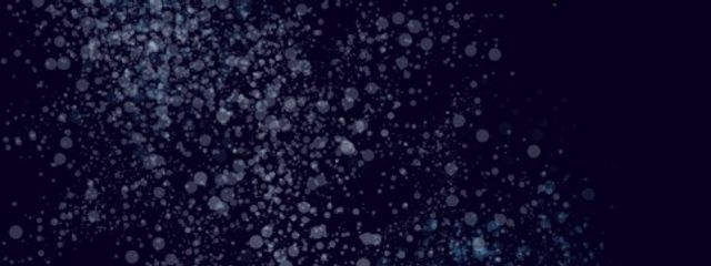 アホ代表のバカさんの壁紙画像