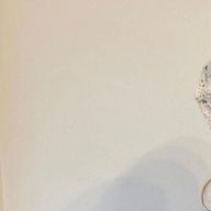 mmさんのアイコン画像