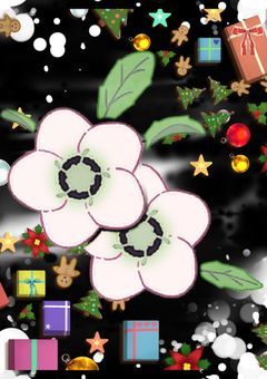 逃げて来た王女の聖なる夜