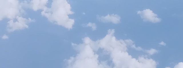 みるくさんの壁紙画像