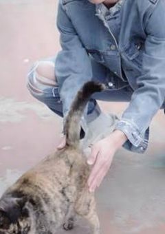 甘すぎる先輩と恋愛初心者すぎる僕