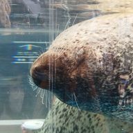 ゆたんぽさんのアイコン画像