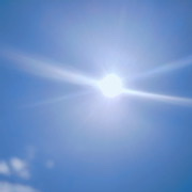 rajiboraraさんのアイコン画像