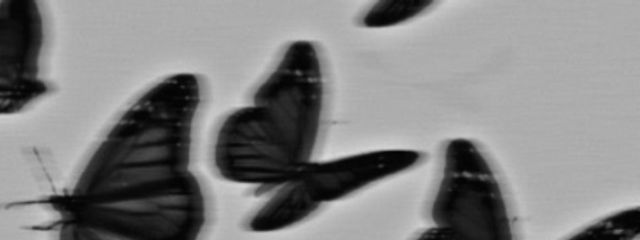 ♡♡♡さんの壁紙画像