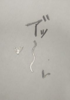 喘ぎ声 文字起こし