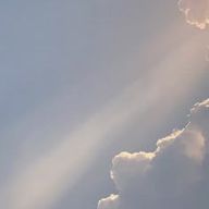 ゆずかさんのアイコン画像