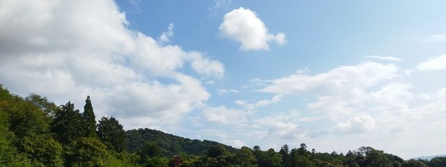 美月さんの壁紙画像