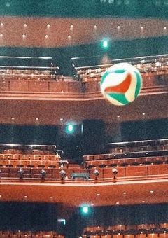 「「 ハイステ！はじまるよ！ 」」