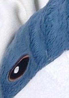 トーク🪐𓂃𓈒𓏸︎︎︎︎