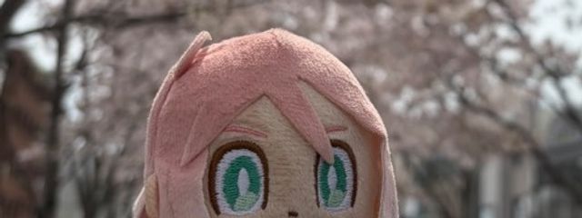 なーんさんの壁紙画像