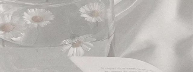 らむ〜🐢〜さんの壁紙画像