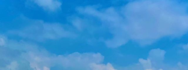 徒花さんの壁紙画像