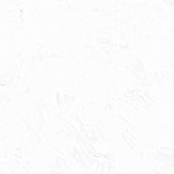 白布(ｼﾗﾌ)さんのアイコン画像