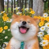 ルークさんのアイコン画像