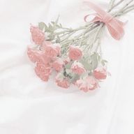 𝒩𝒪𝒜🧸🎀さんのアイコン画像