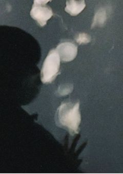 長尾受け需要ありますかね…