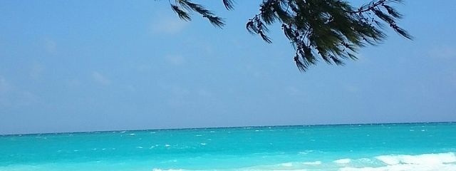 ぴーまん@ペースは亀ですどうも(？)さんの壁紙画像