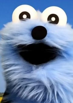 かめれおん専用部屋