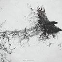 _氷月黑夜@ひづきこくや_