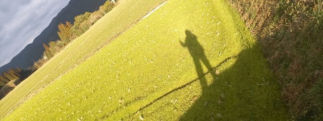 ももさんの壁紙画像