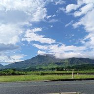 ももさんのアイコン画像