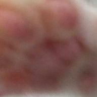 zzziさんのアイコン画像