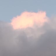 momokuriさんのアイコン画像