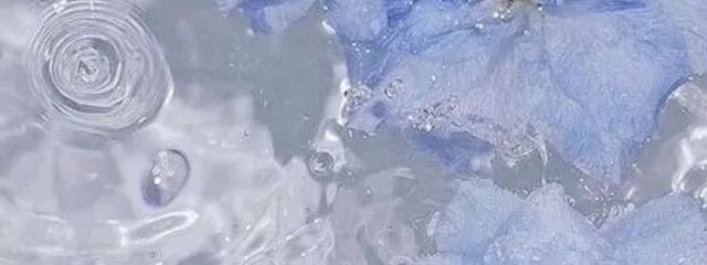 心彩 旦那さんとペア画中🫶 さんの壁紙画像
