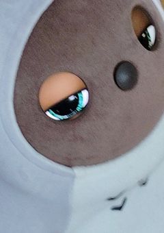 ✦　コミュ障による　友募