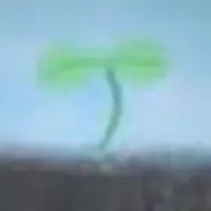 糸野翡翠さんのアイコン画像