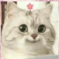Yuiさんのアイコン画像