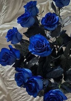 秘密の恋人、誓いの夜に溺れて　　ドラマ風小説